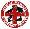 MMSC Marine Mammal Stranding Center