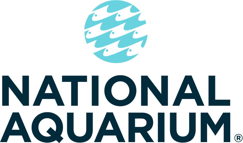  National Aquarium in  Baltimore