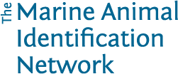 Marine Animal Identification Network